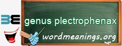 WordMeaning blackboard for genus plectrophenax